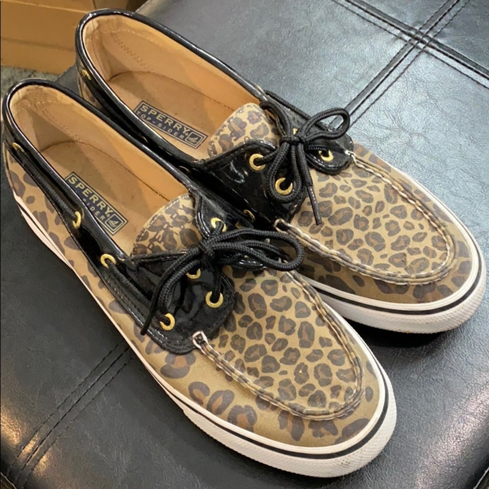 Cheetah Sperrys